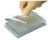 Clear Plyolefin adhesive sheets for PCR microplates - box 100